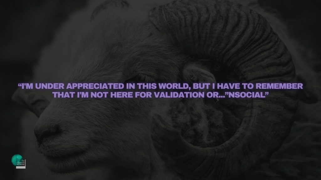 “I'm under appreciated in this world, but I have to remember that I'm not here for validation or...”