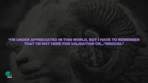 “I'm under appreciated in this world, but I have to remember that I'm not here for validation or...”