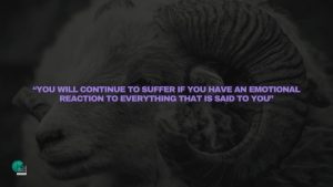 “You will continue to suffer if you have an emotional reaction to everything that is said to you”